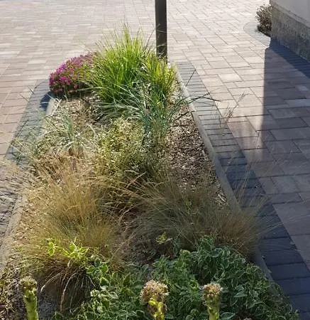Guest house Flora Pazin