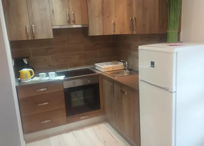 Flora Πανσιόν Pazin