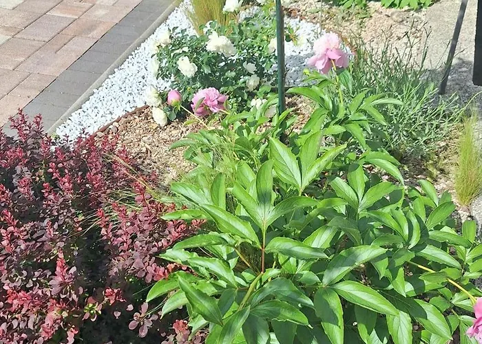 Flora