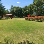 Flora