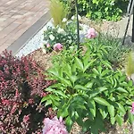 Flora