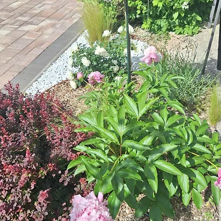Flora